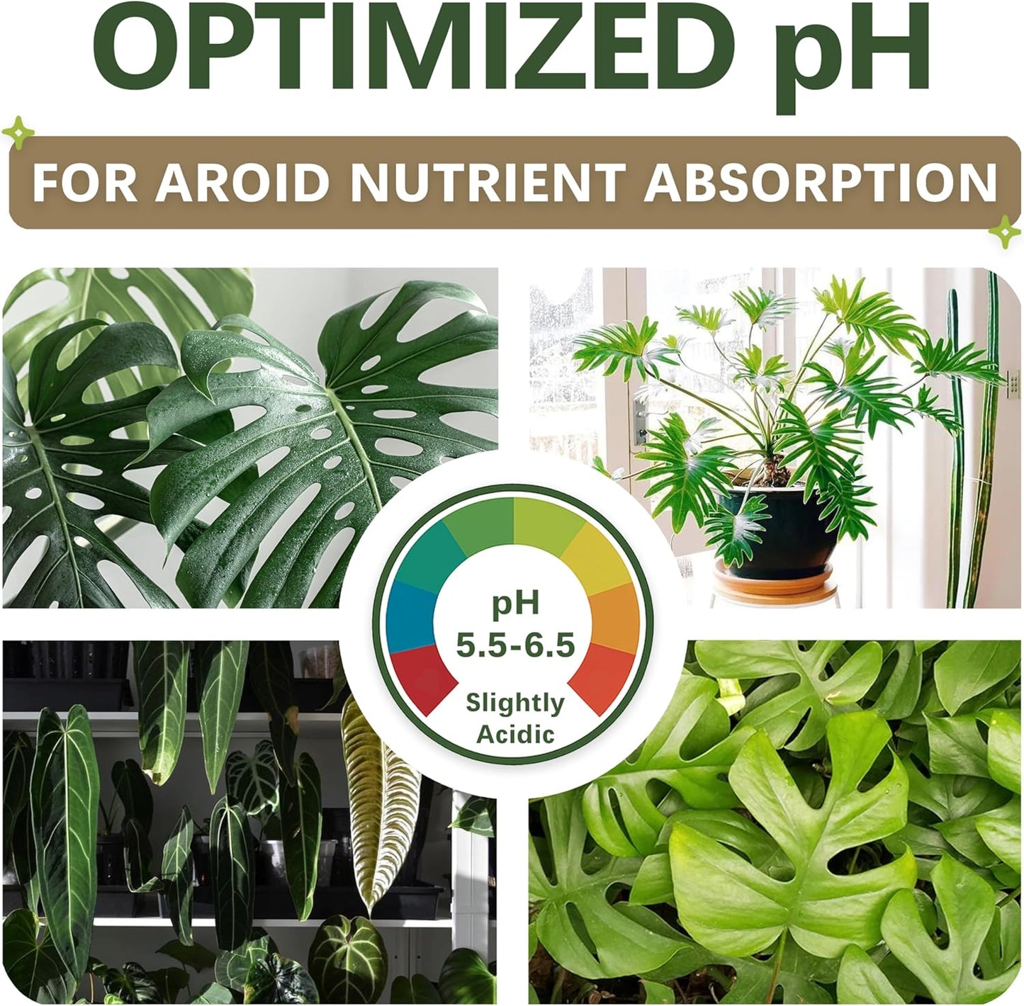 Suelo Premium para Monstera y Philodendron 2qt