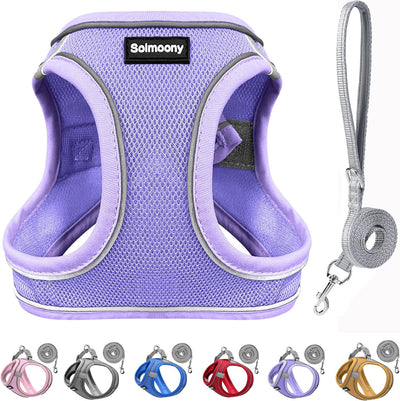 Arnés reflectante para cachorros y gatos XXXS morado