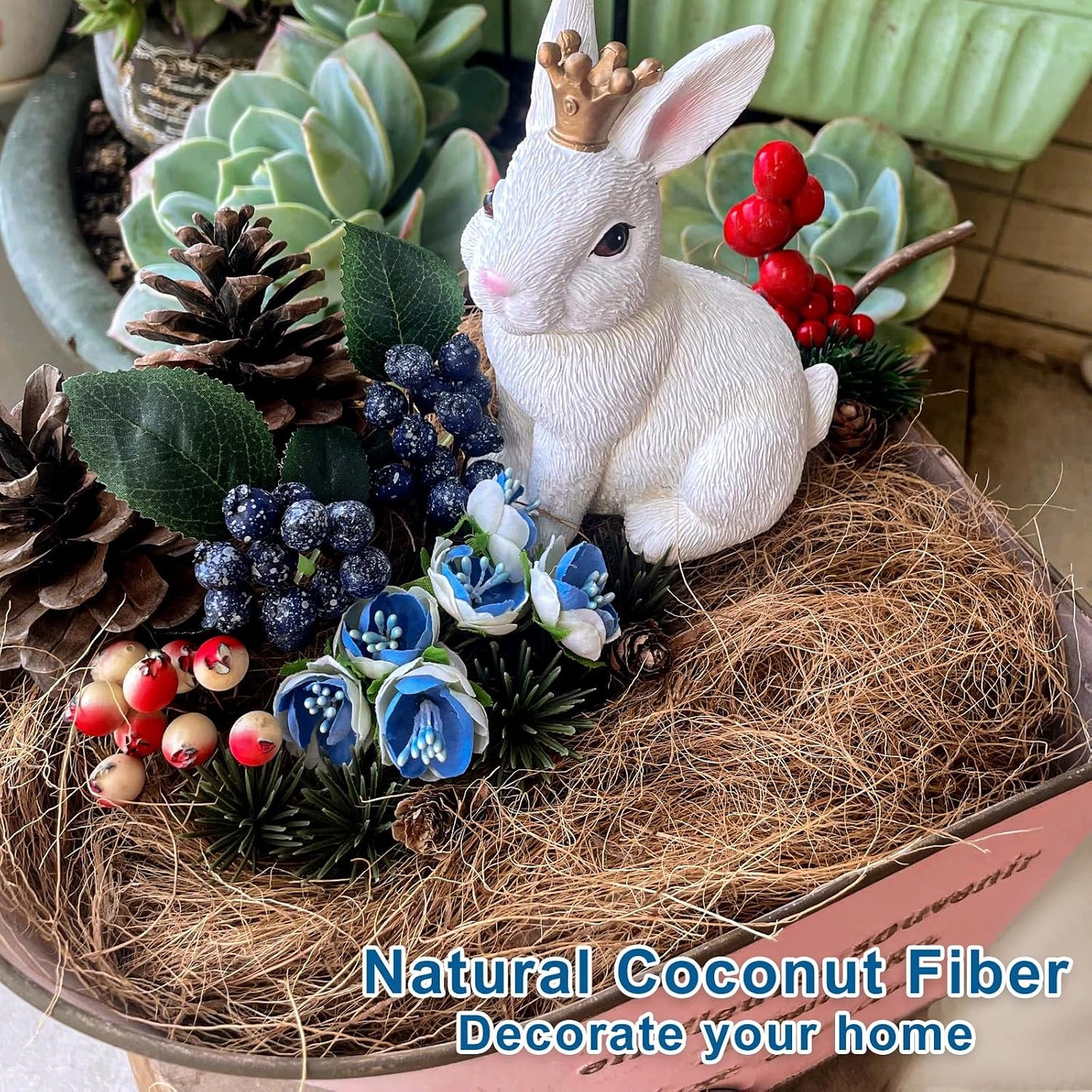 Seda mantillo fibra cáscara coco para orquídeas 0.66lb
