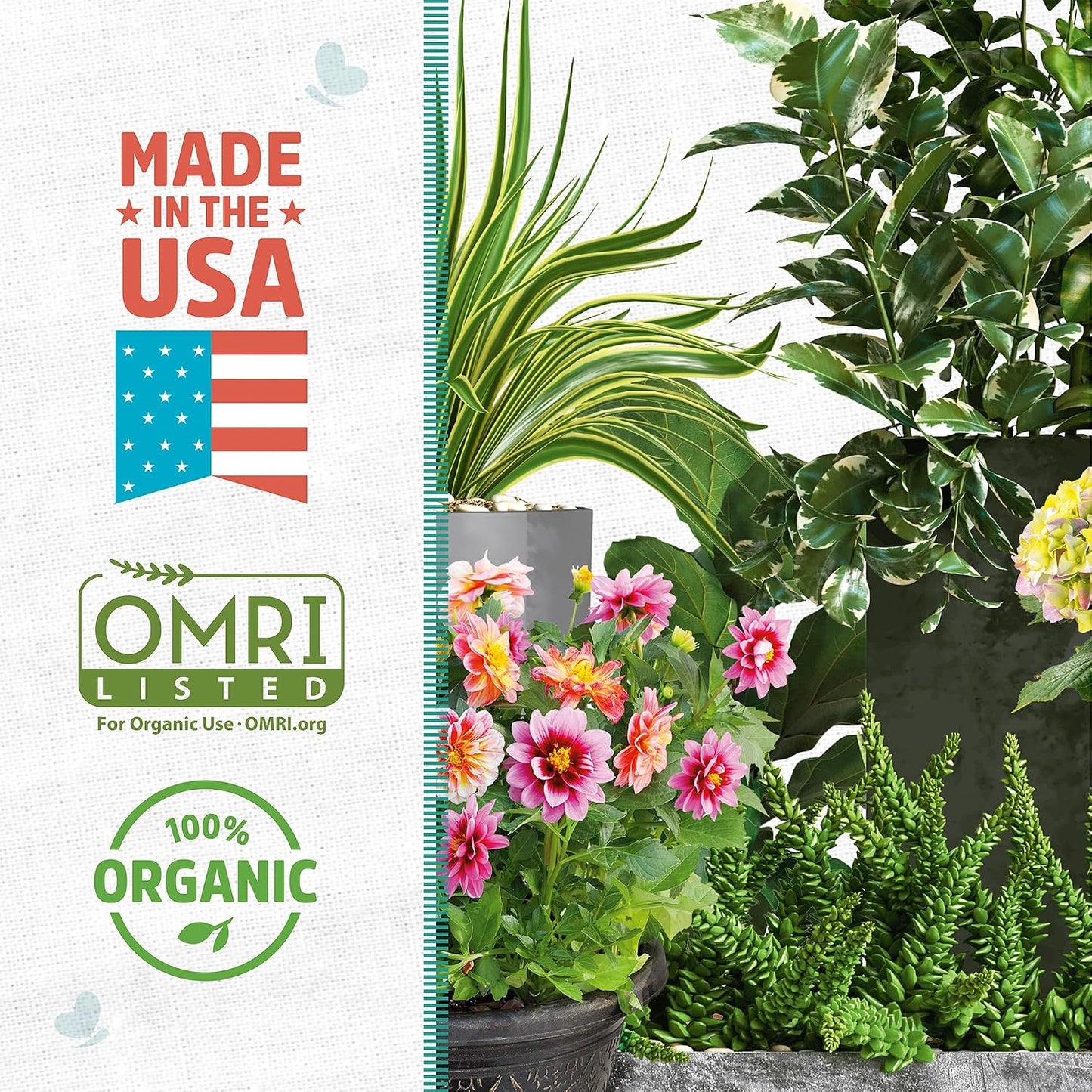 Perlita orgánica para plantas interior y exterior
