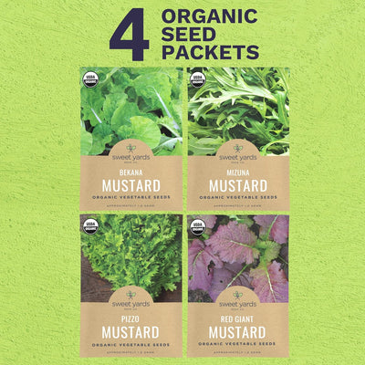 Pack 4 semillas verdes mostaza orgánicas Mizuna