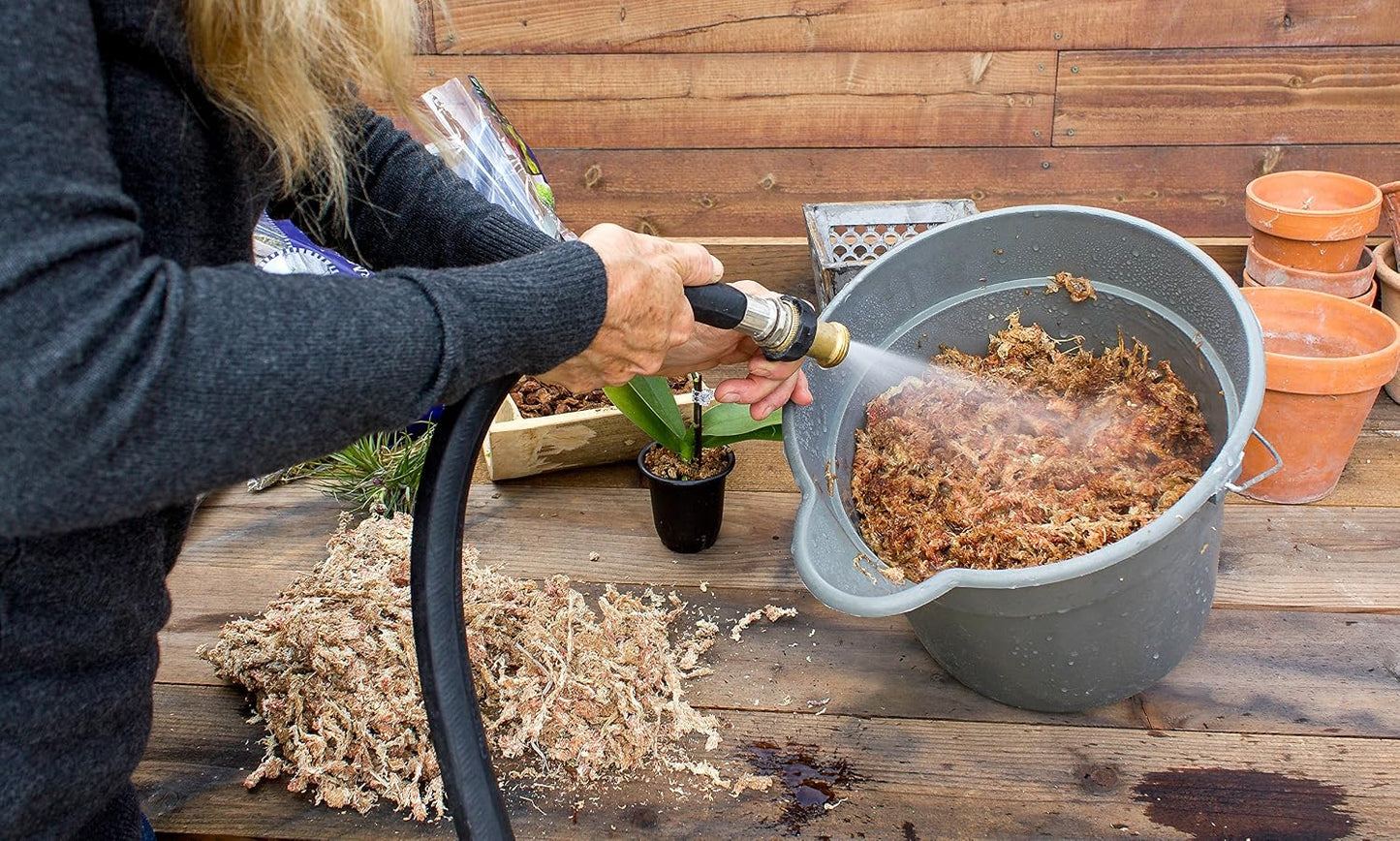 Musgo Sphagnum para Orquídeas Seco 8oz